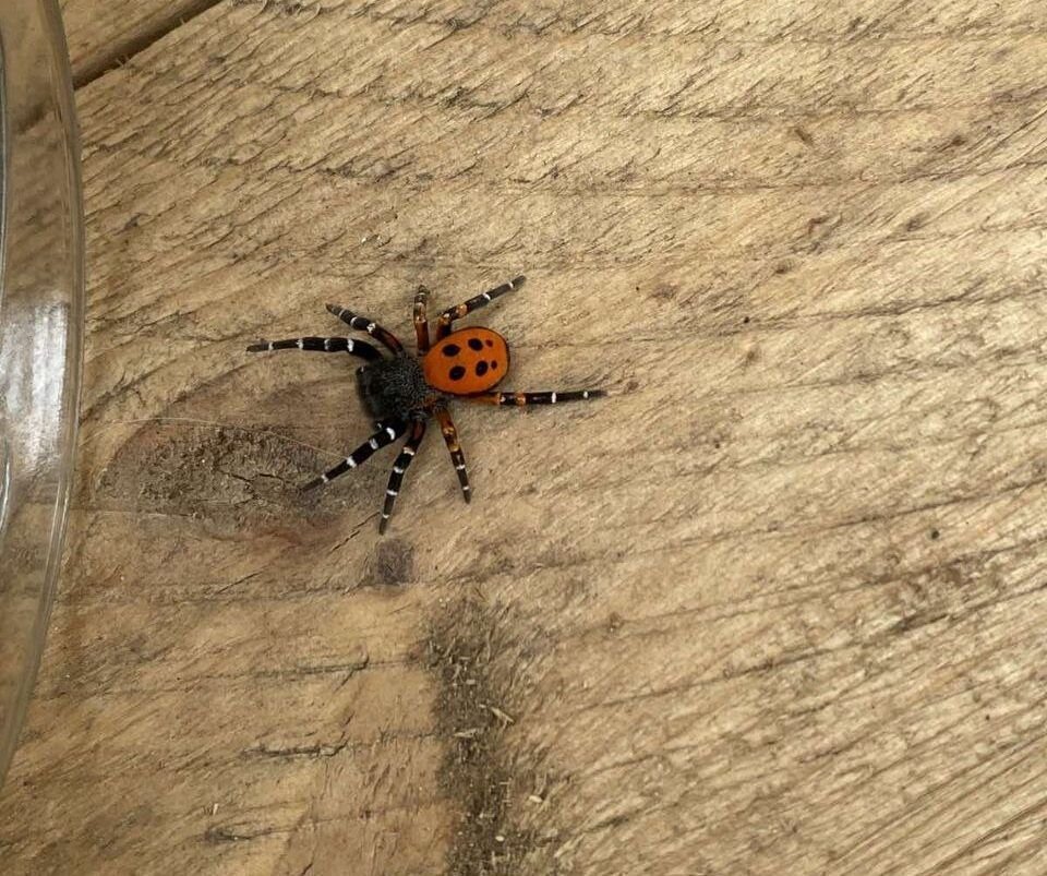    Фото: Очевидец   📷   Фото: Очевидец