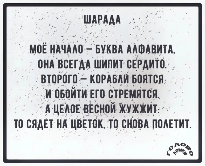 Шарада в стихах №14