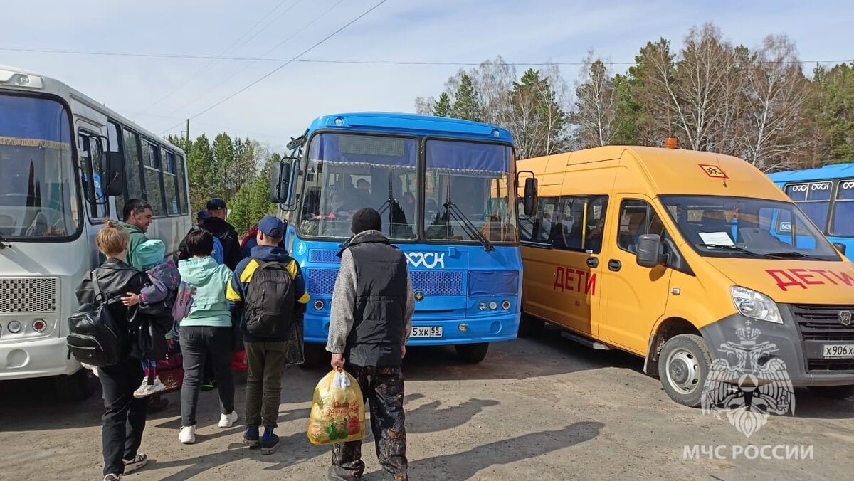 Кошек можно, скот нельзя: в Усть-Ишиме приступили к оперативной эвакуации |  РИА «Омск-информ» | Дзен