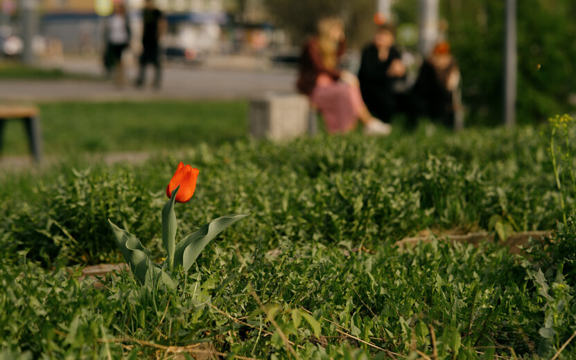    Погода в Ижевске на день: 13 мая потеплеет до +9°С