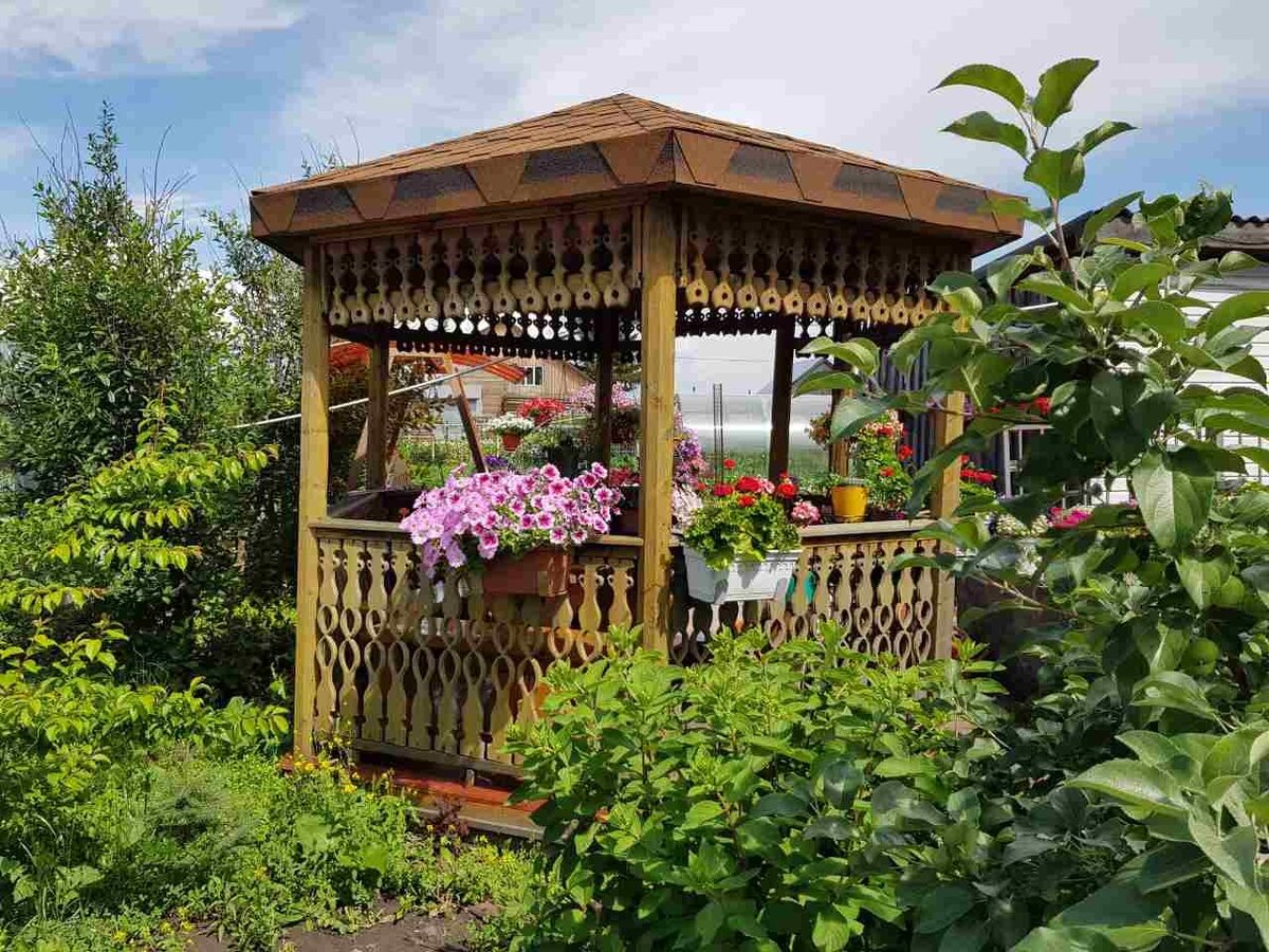 В галерее 2 фото. 2017 год.