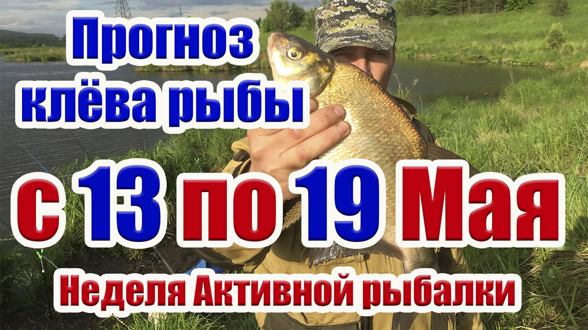  Приветствую всех на своем канале. Смотрите прогноз клёва рыбы по лунному календарю рыбака с 13 по 19 мая, какой будет активность рыбы в эти дни.