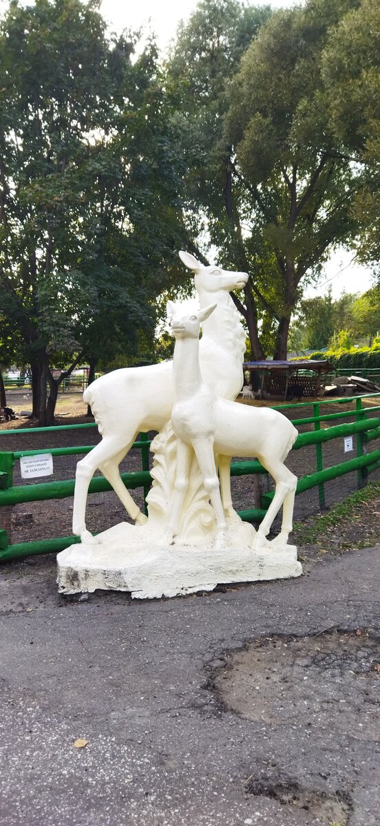 Поездка в Пензу