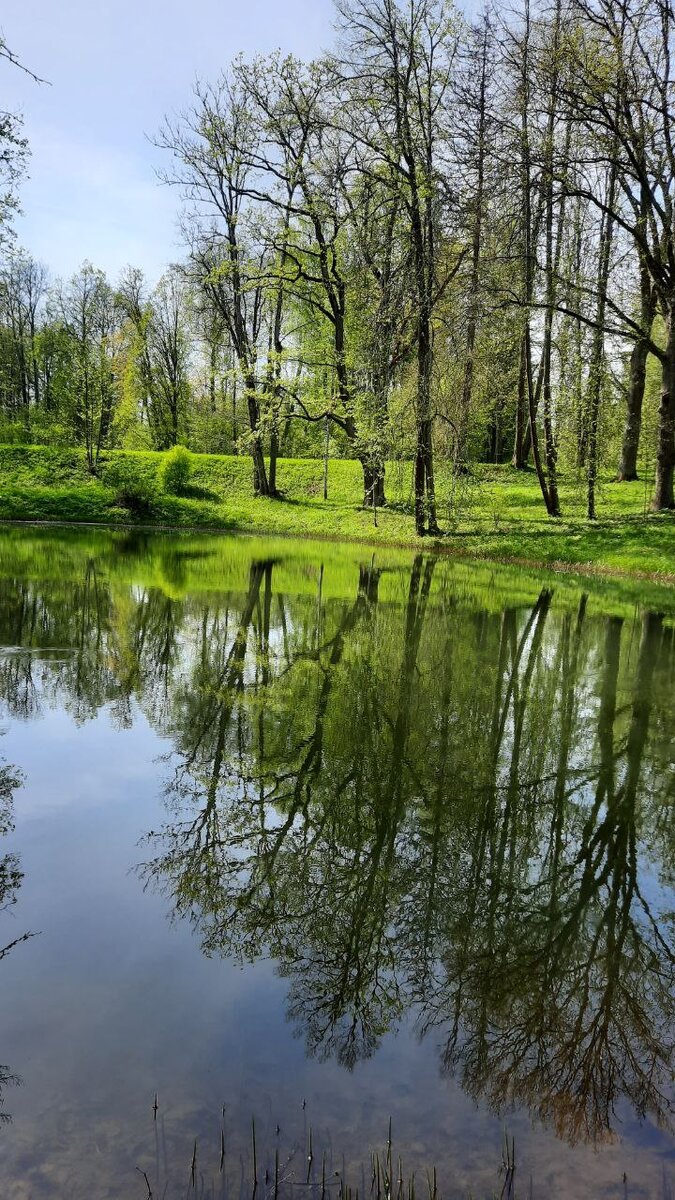 ПРОГНОЗ ДЛЯ ВОСХОДЯЩИХ ЗНАКОВ ЗОДИАКА НА ГОД - С 01.05.2024г ПО  14.05.2025г. | Астрология 