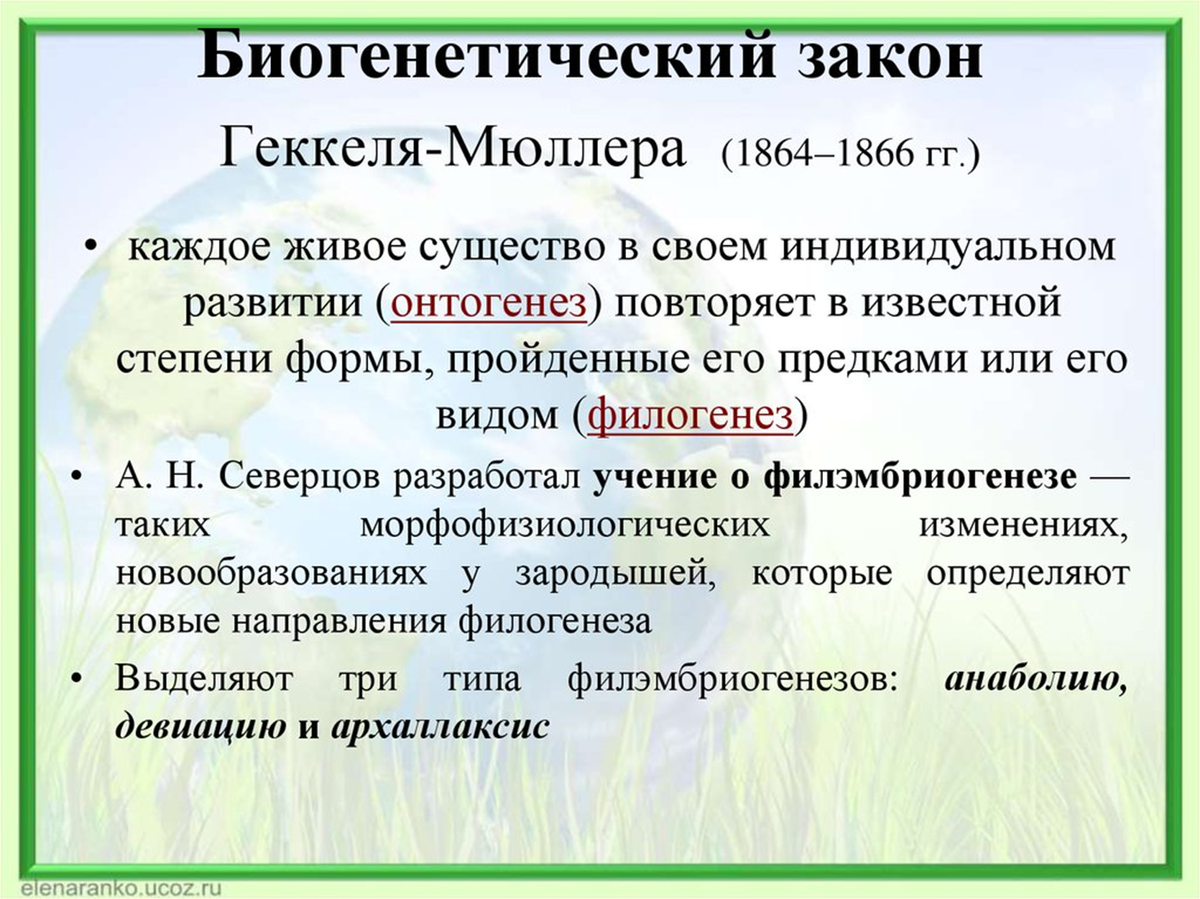 Назовите законы менделя