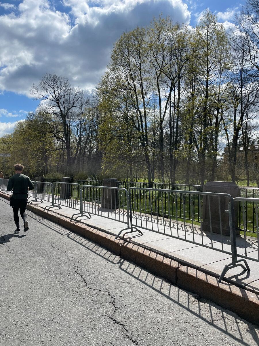 виды на парк