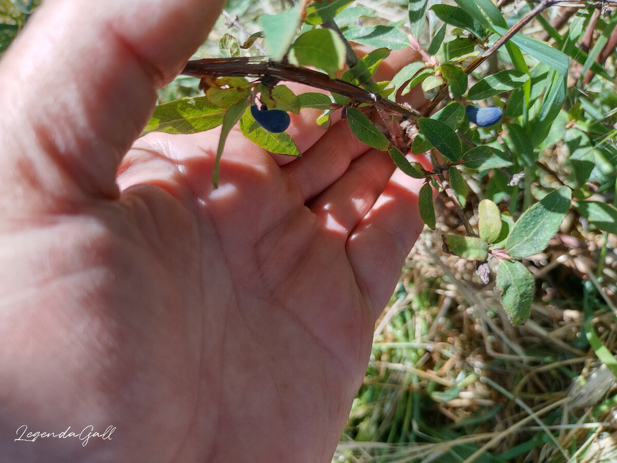 зато их не очень мало