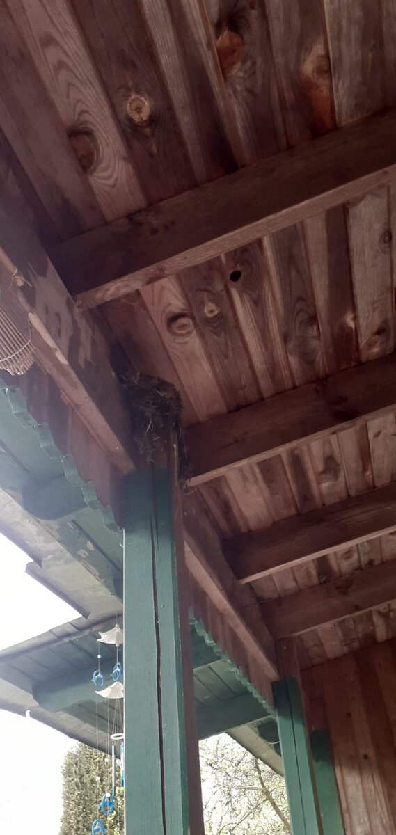 Построили 🤦 ( фото автора)