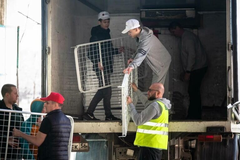    Всем миром. Последствия паводка в Оренбуржье устраняют предприятия, бизнес и волонтеры Андрей Севостьянов