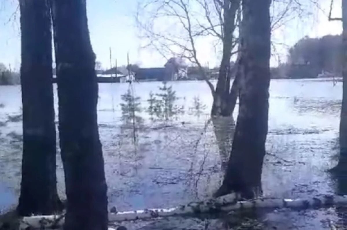    На улицах Усть-Ишима.