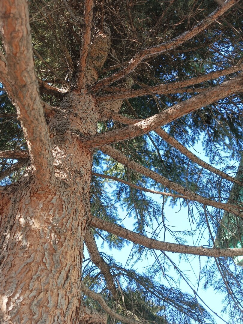 Ох и люблю я фотографировать)