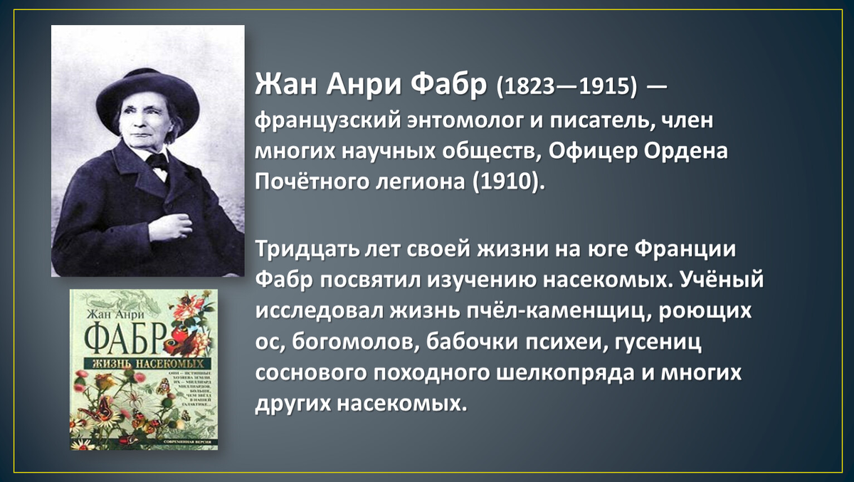 Фото из открытых источников. Ж.А. Фабр (21 декабря 1823 - 10 октября 1915)