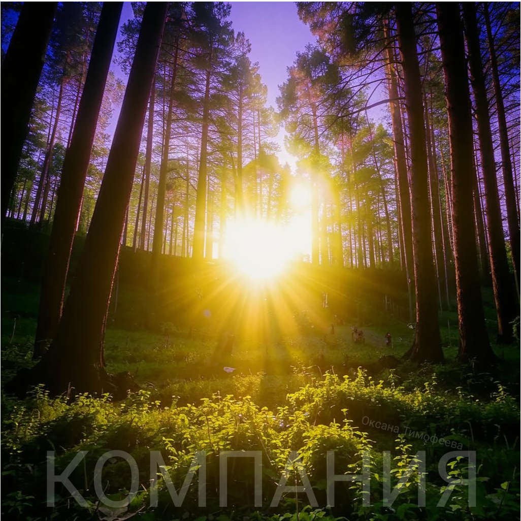 Сборник "Компания" Оксана Тимофеева