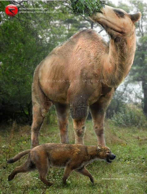 Титанотилоп.