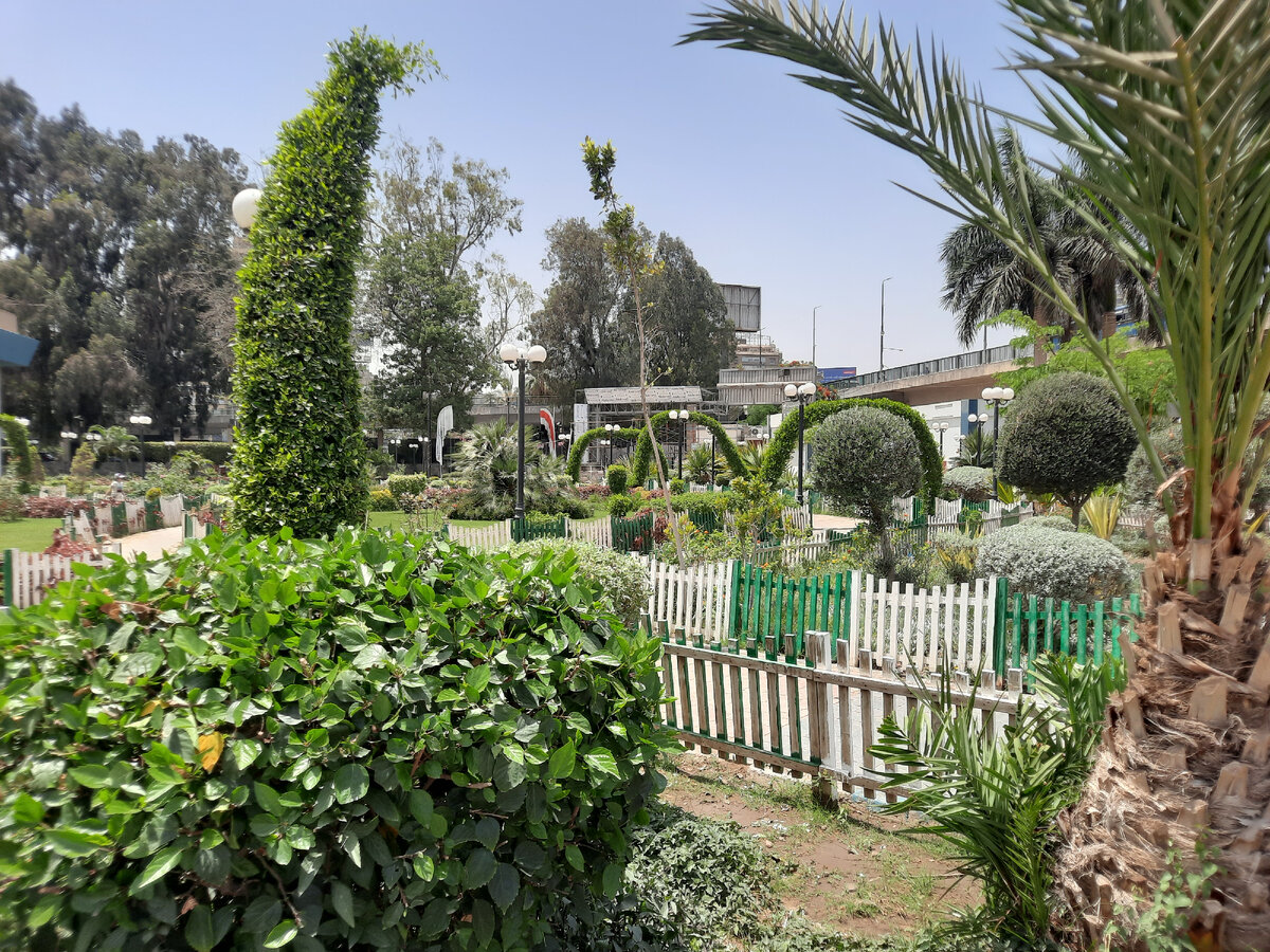 Египет, Каир, остров Замалек