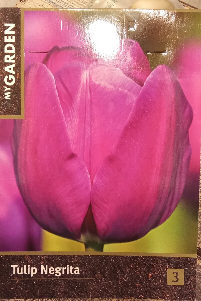фото упаковки от тюльпана