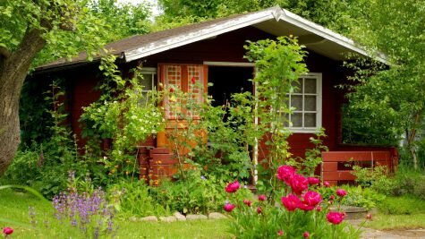    Фото: яндекс.фото