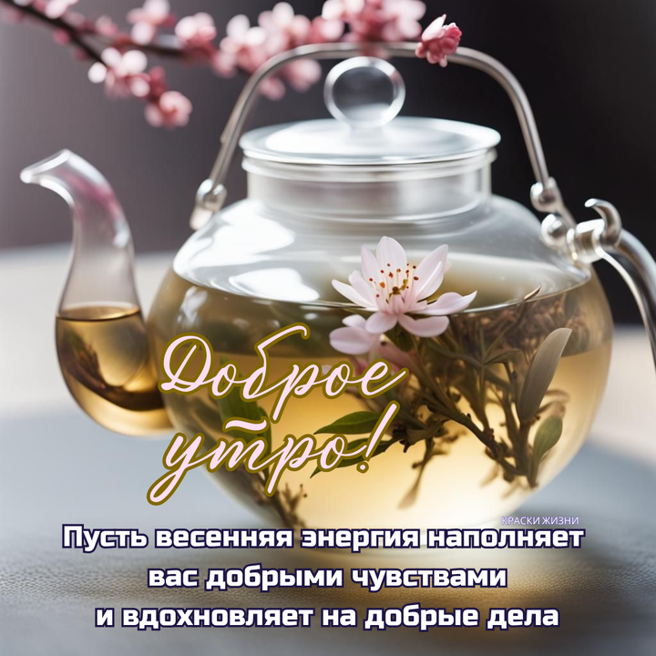 Кафе "У пани Сони"