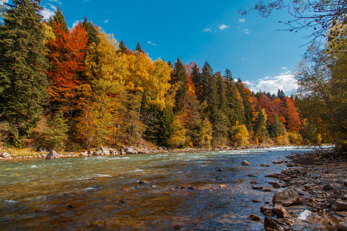 Верховья реки Лаба, Карачаево-Черкесия Урупский район. Фото автора