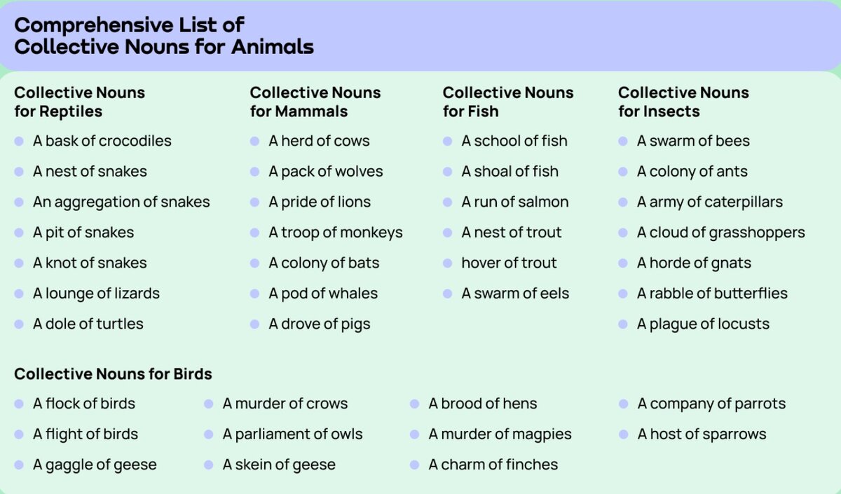 Коллективные названия для групп людей, животных, предметов в английском  языке | Pro английский | Дзен