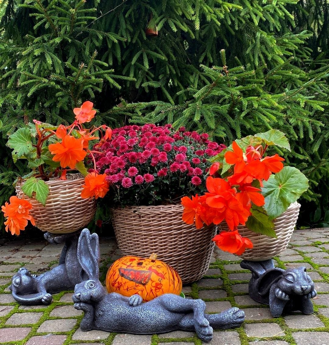 Фото Т.Дмитриевой для превью