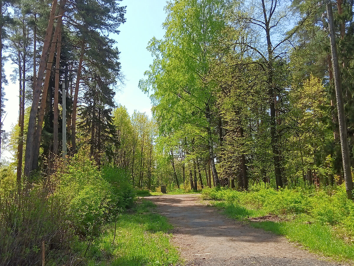 Мой район в родном городе. Фото автора