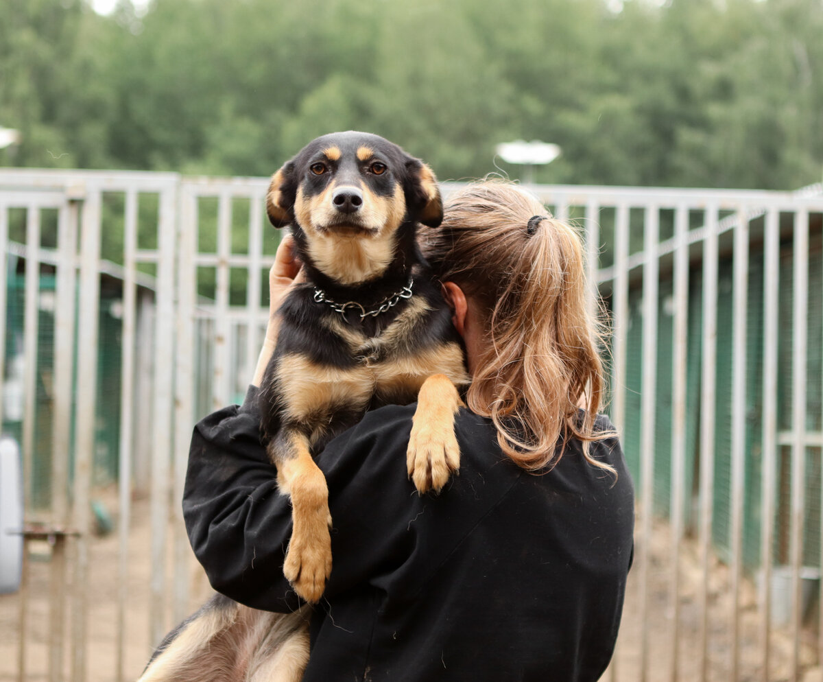 Кого-то и на ручках носим;) И это наша Найла (8 926 330 35 51)