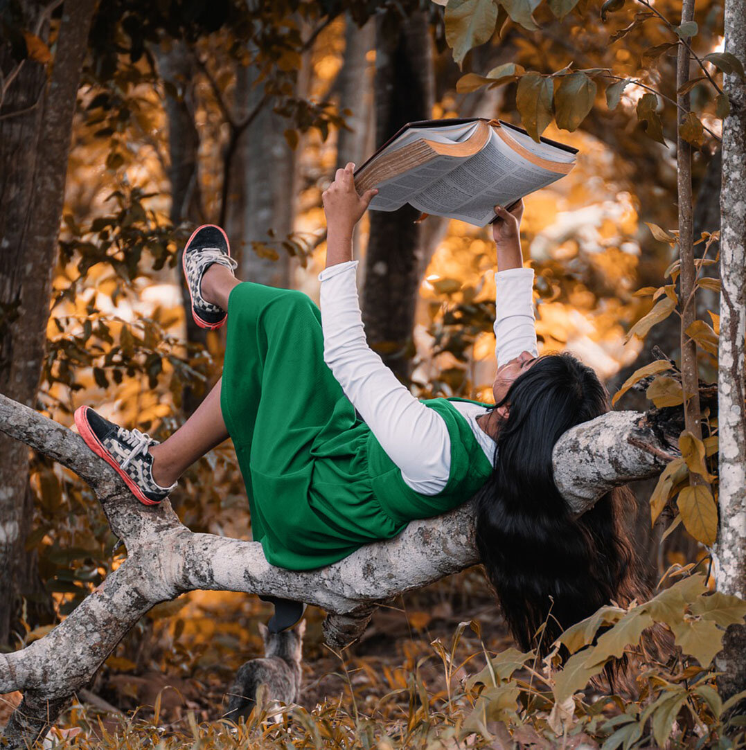 Фотография из открытого источника pixabay com 
