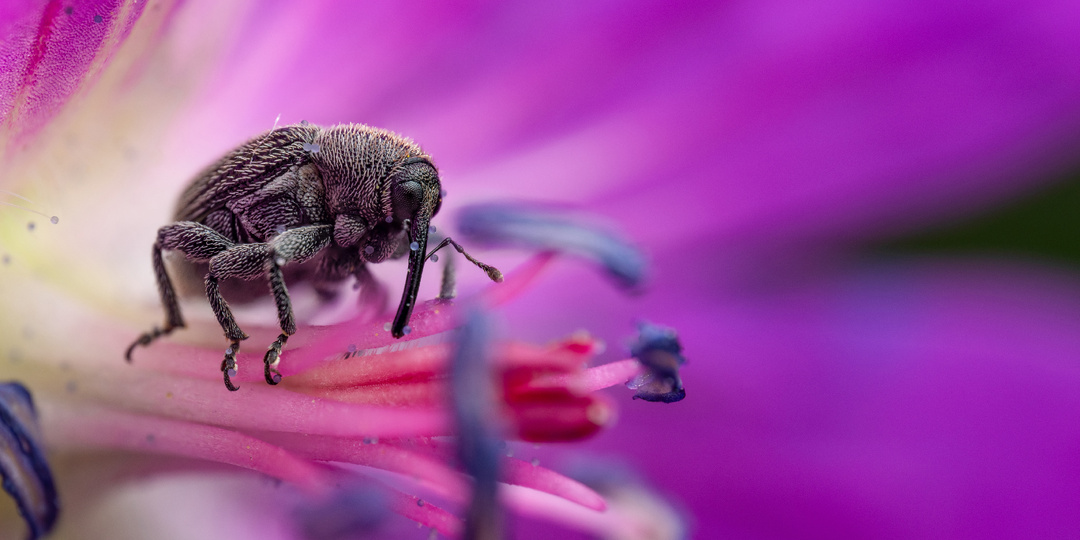 Я финалист в конкурсе от Русского географического общества!