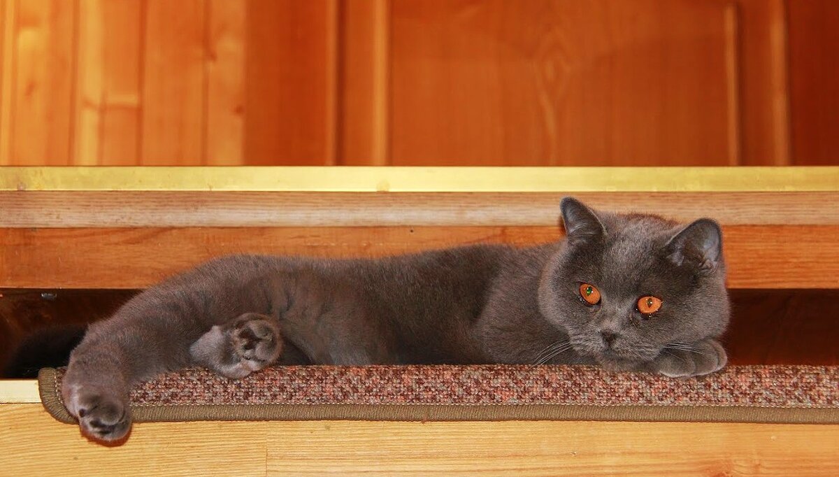 Отстаньте все, я устала!