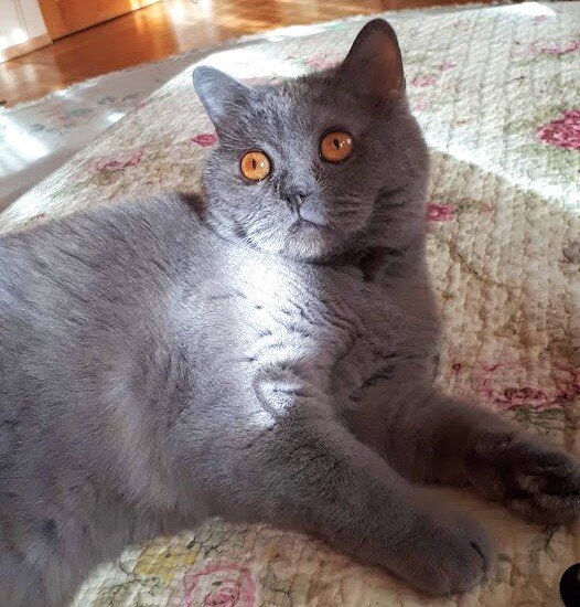 Что? Серьезно прямо целый букет???😮