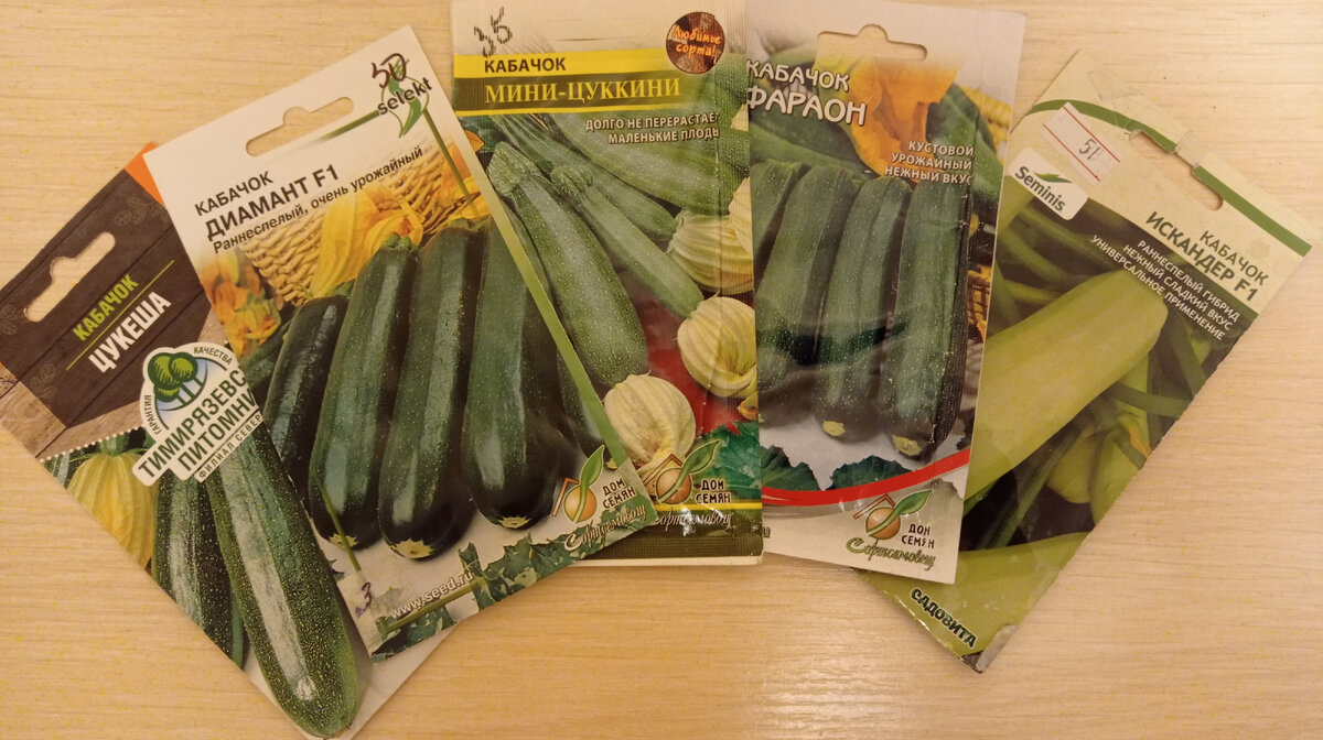 Это мои запасы семян кабачков
