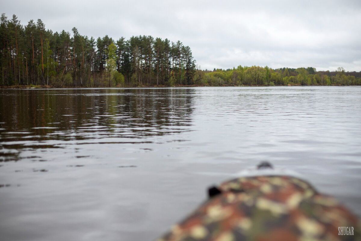 Листай галерею, читатель!