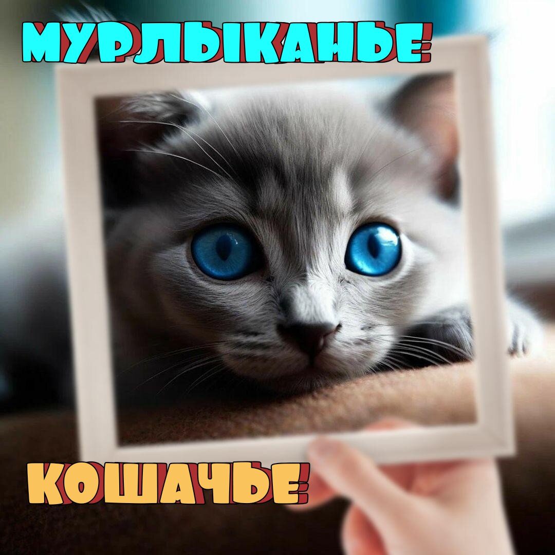 Кошачье мурлыканье