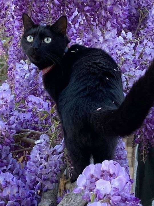 Ну просто красавчик