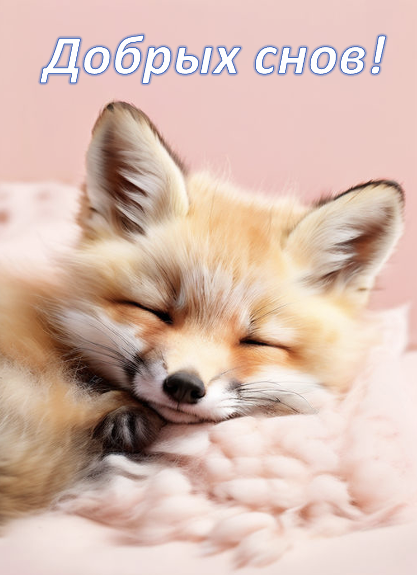 Спящий лисенок желает спокойно добрых снов