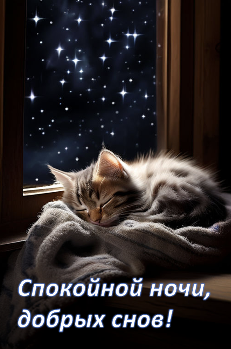 Спящий котенок желает спокойной ночи