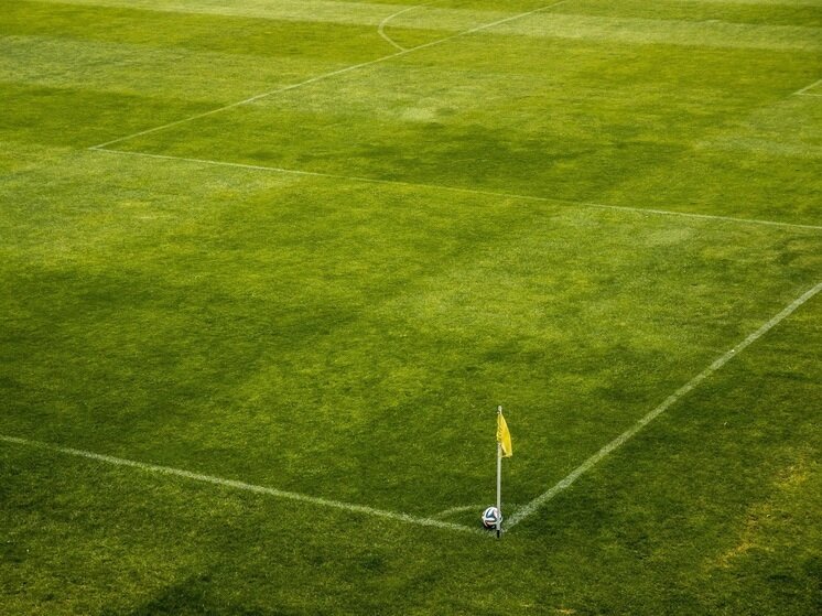     фото: pxhere.com