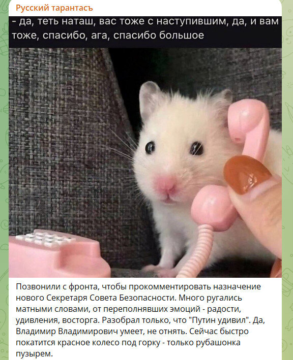    ФОТО: СКРИНШОТ ТГ-КАНАЛА T.ME/DMITRIYSTESHIN