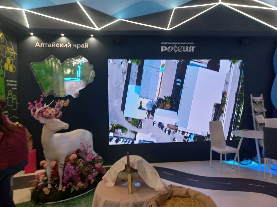    Стенд Алтайского края на выставке "Россия" (Москва). Источник: Олеся Веселкова /"Толк"