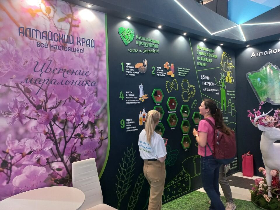    Стенд Алтайского края на выставке "Россия" (Москва). Источник: Олеся Веселкова /"Толк"