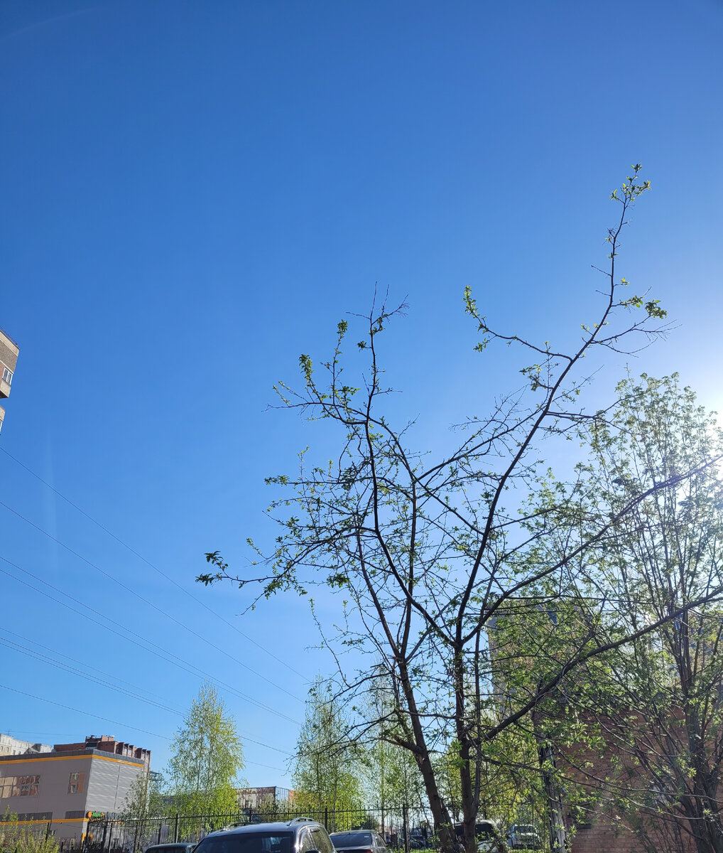 2. Погода сегодня замечательная, г. Новосибирск, 13.05.2024