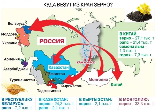    Фото: АиФ на Енисее/ Максим Тодорашко