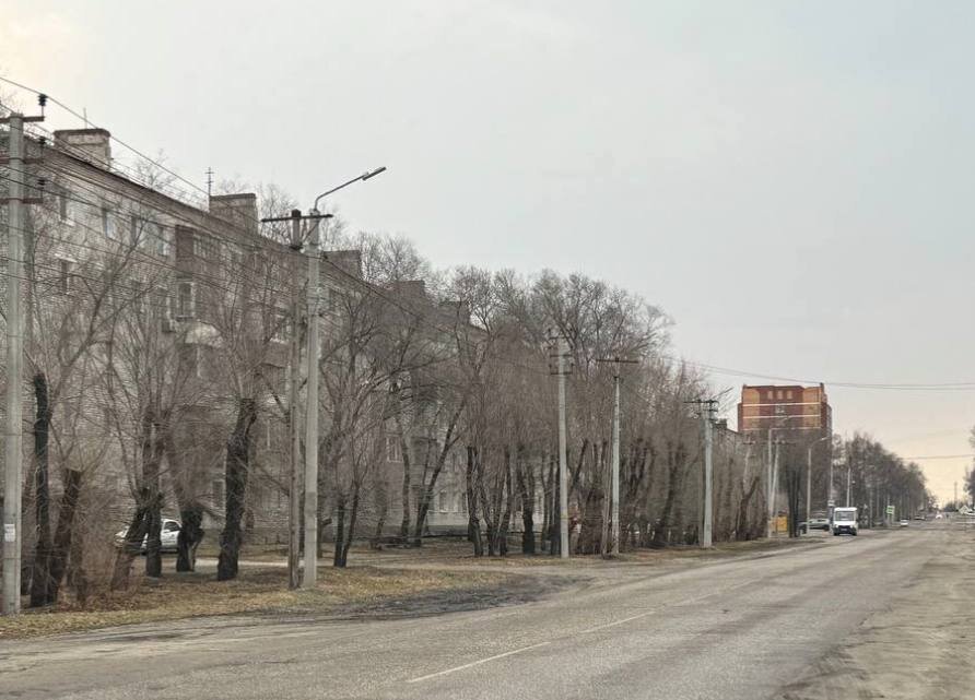    Фото: пресс-служба главы Свободного