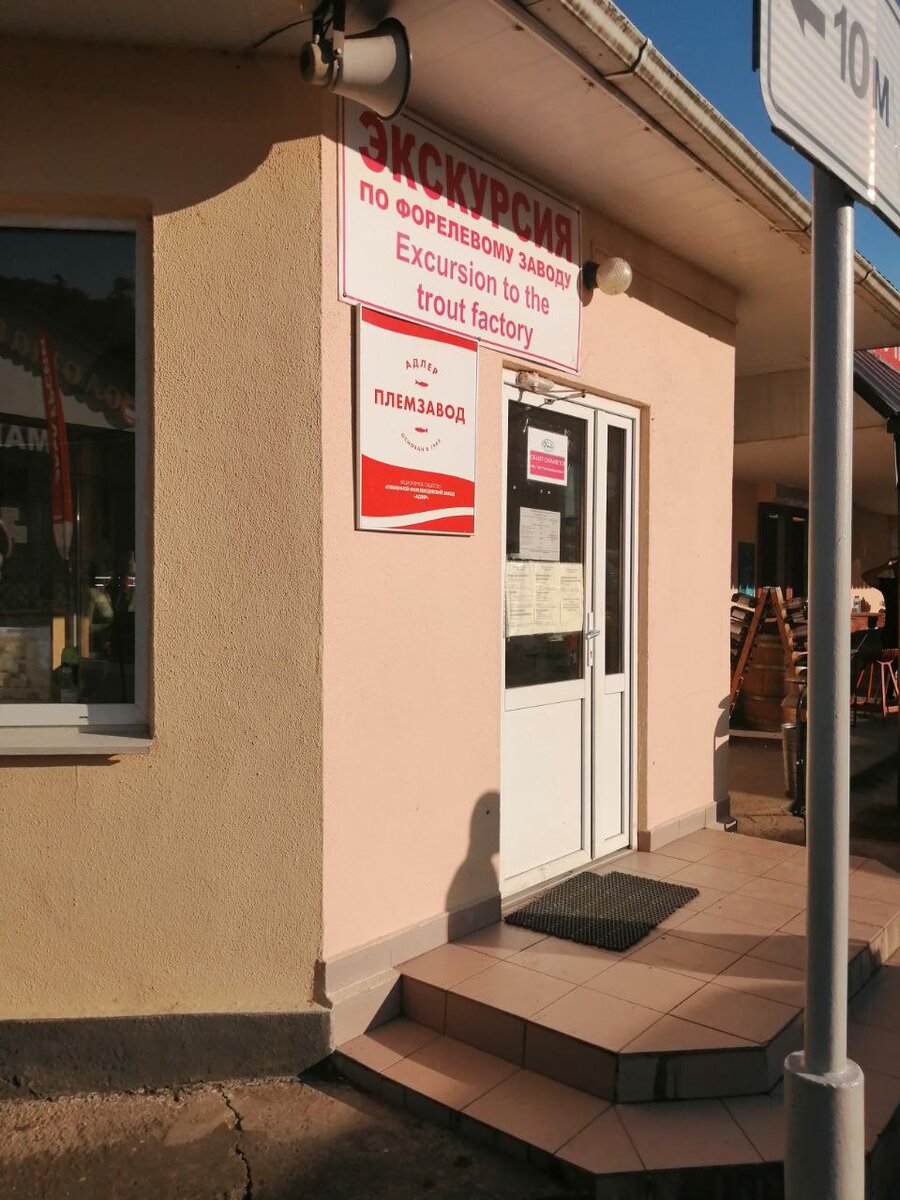 Вот сюда проходите и покупаете экскурсию