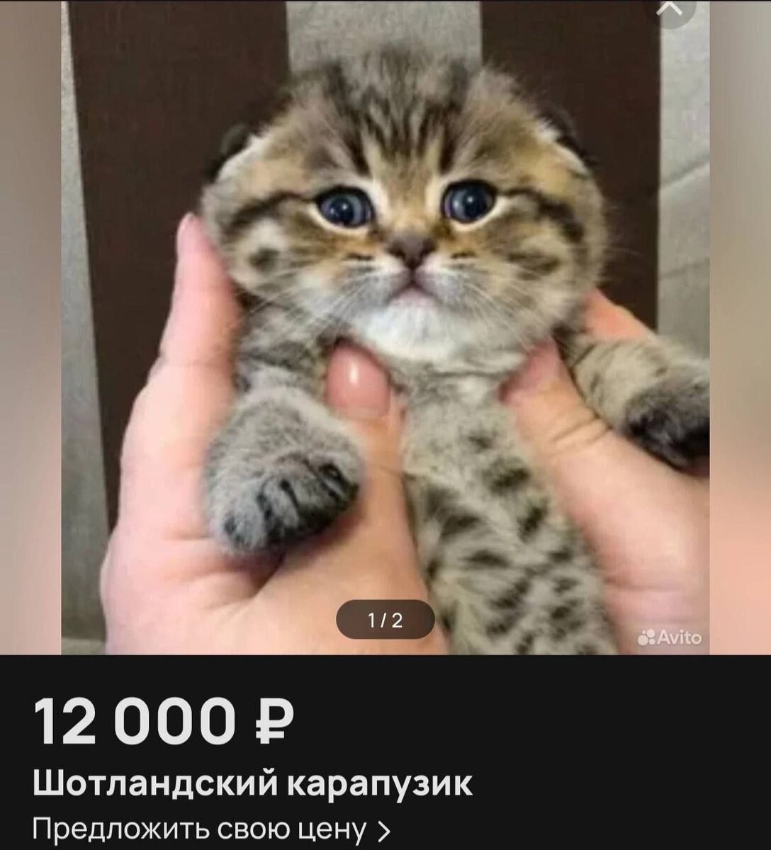 Карапузик немножко напуган