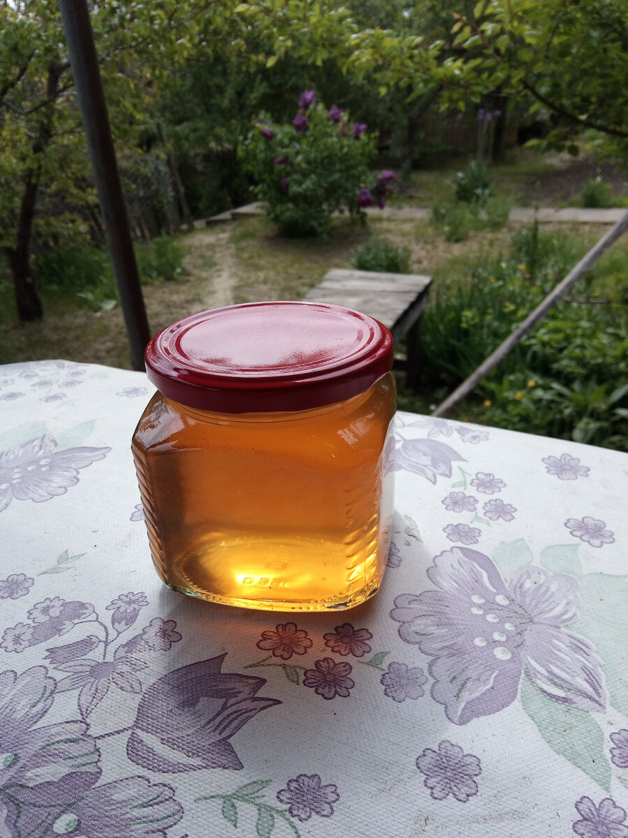 Мёд из сосны.