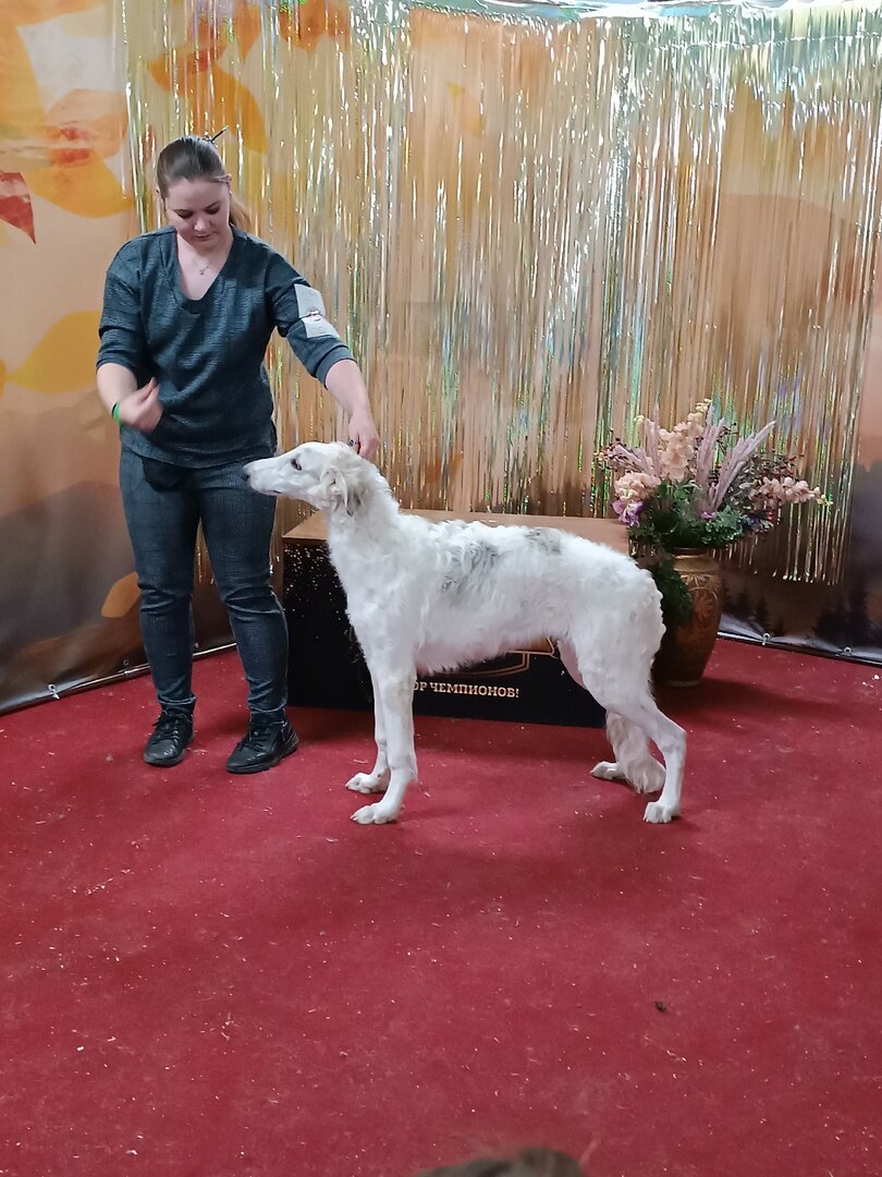 В фото-зоне