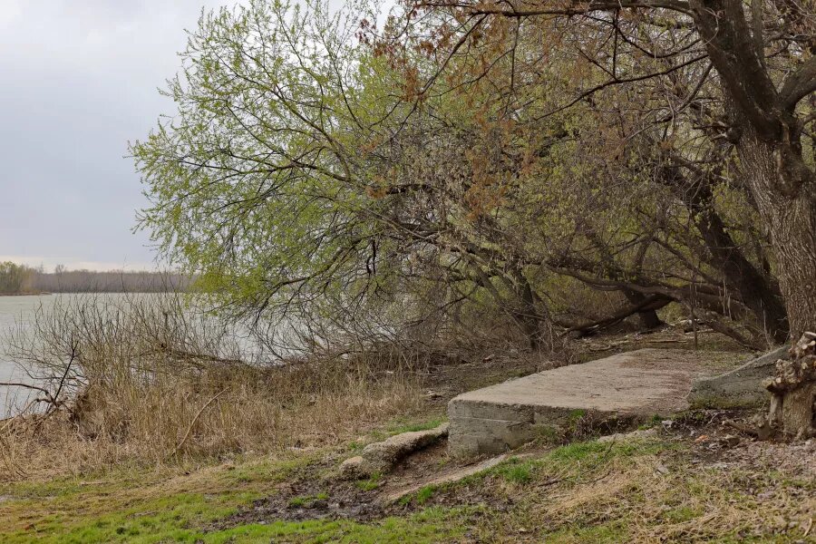 Сквер им. Фомченко. Сергей Кулыгин, "БР"   📷