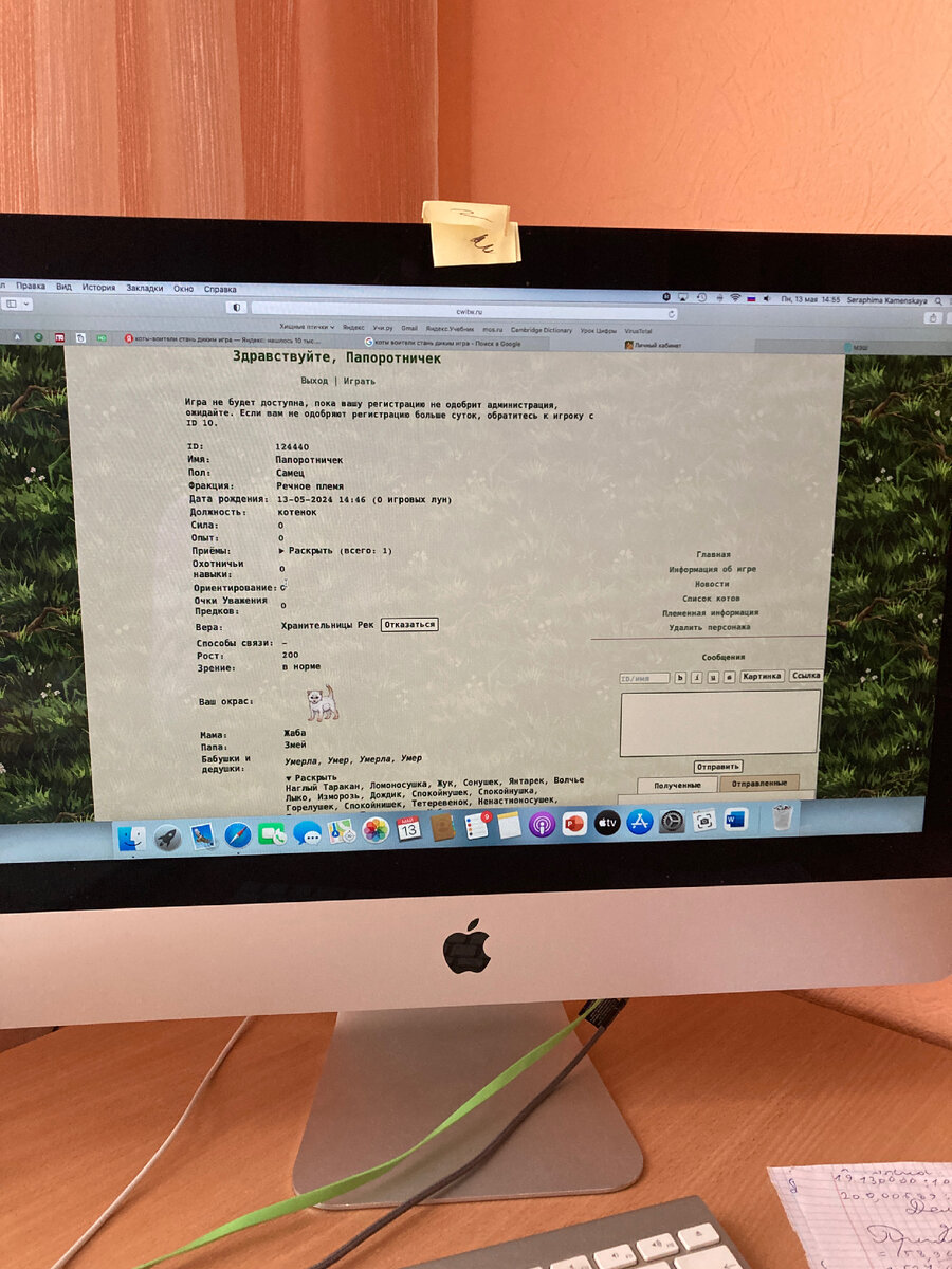 Мой личный кабинет в игре "Коты-воители. Стань диким!"